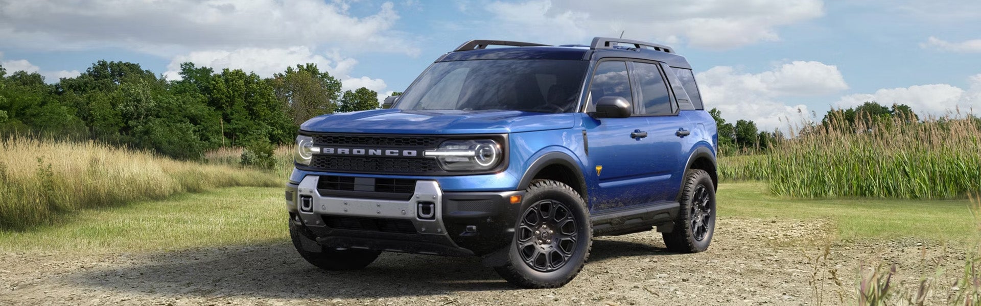Blue Ford Bronco Sport parked on a dirt road in a grassy field with trees in the background under a cloudy sky.