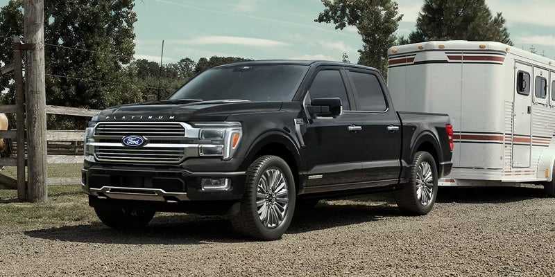 A black Ford F-150 Platinum pickup truck towing a white livestock trailer on a gravel road, with trees in the background.